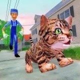 小猫玩耍模拟器 V1.0 安卓版