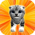 疯狂猫3D V4 安卓版