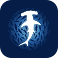 海洋大猎杀 V0.9.76 安卓版
