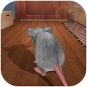 老鼠大冒险 V1.0 安卓版