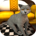 猫模拟器2021 V0.1 安卓版
