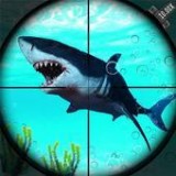 鲨鱼猎手3D V1.1.6 安卓版
