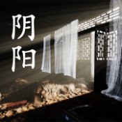 孙美琪疑案阴阳 V1.0 安卓版