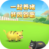天天养猪 V1.0 安卓版