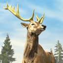 狩猎世界 V1.0.4 安卓版