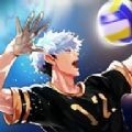 排球故事 V1.0.0 安卓版