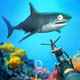 水族馆杀手 V1.0 安卓版