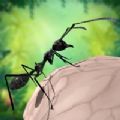蚂蚁生存3D 最新版