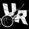 the court 最新版