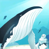 海洋动物世界 正式版