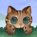 小猫回家 最新版