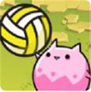 仙侠排球 正式版