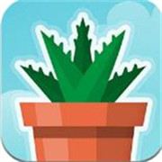 女神森林计划 最新版