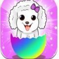 合并狗 最新版