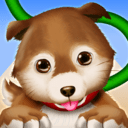 狗狗绳索解开 免费版