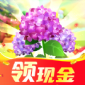 多多养花 免费版