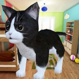 迷你小猫城市生存 安卓版