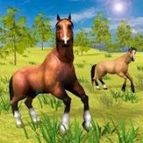 野马骑马 手机版
