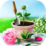 弗洛里亚虚拟花园 最新版