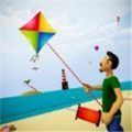 风筝战斗飞行3D 手机版