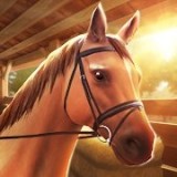 兴奋的跳马 手机版
