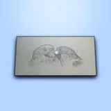 雕刻绘画3D 最新版