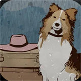 流浪狗的故事 免费版