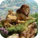 良心动物园 正式版
