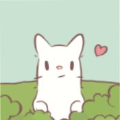 Cats&Soup 正式版