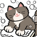 猫猫洗衣 安卓版