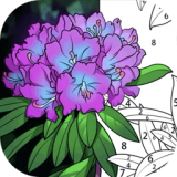数字画画填色世界 正式版