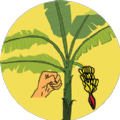 破坏热带植物 手机版