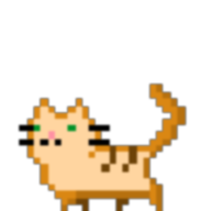 猫景 手机版