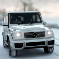 G65停车模拟器 正式版