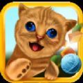 终极猫冒险 最新版
