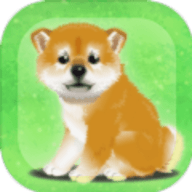 养育柴犬的治愈 正式版