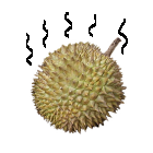 Durian Fight 手机版