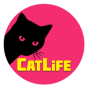 猫生猫猫模拟器 最新版