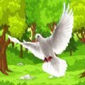 飞鸽鸟模拟器 手机版