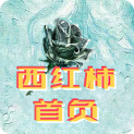 西红柿首负 正式版