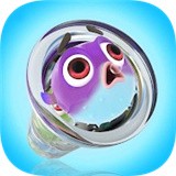 鱼丸排序 手机版