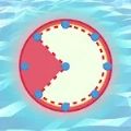 绳索岛3D 免费版
