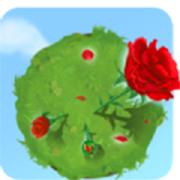步步生花 最新版