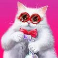 可爱的猫咪珍藏 手机版