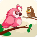 小鸟种类拼图 V1.0.3 安卓版
