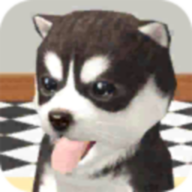 柯基犬模拟器 最新版