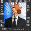 疯狂生物竞赛 手机版