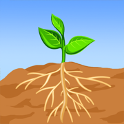 Root And Sprout 手机版