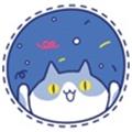 catmemory 正式版