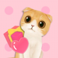 猫是液体 V1.0 安卓版